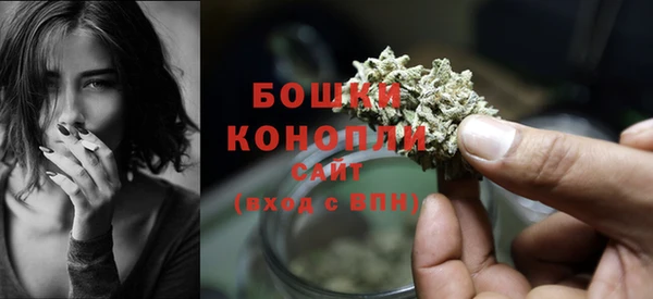 не бодяженный Заводоуковск