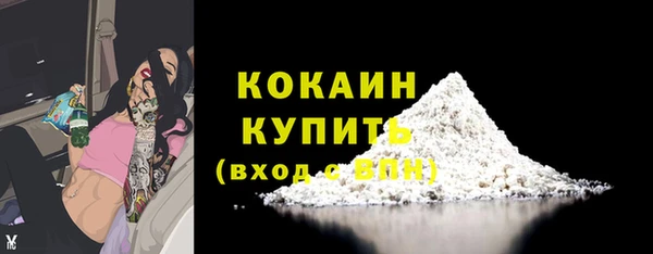 не бодяженный Заводоуковск
