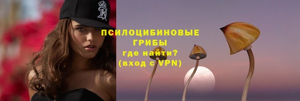 метамфетамин Елизово