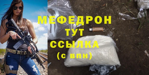соль ск Ельня