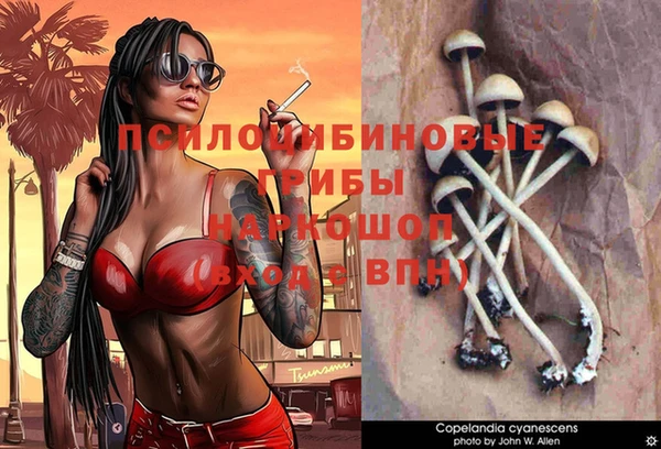 ПСИЛОЦИБИНОВЫЕ ГРИБЫ Заволжск