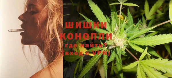 соль ск Ельня