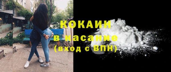 не бодяженный Заводоуковск